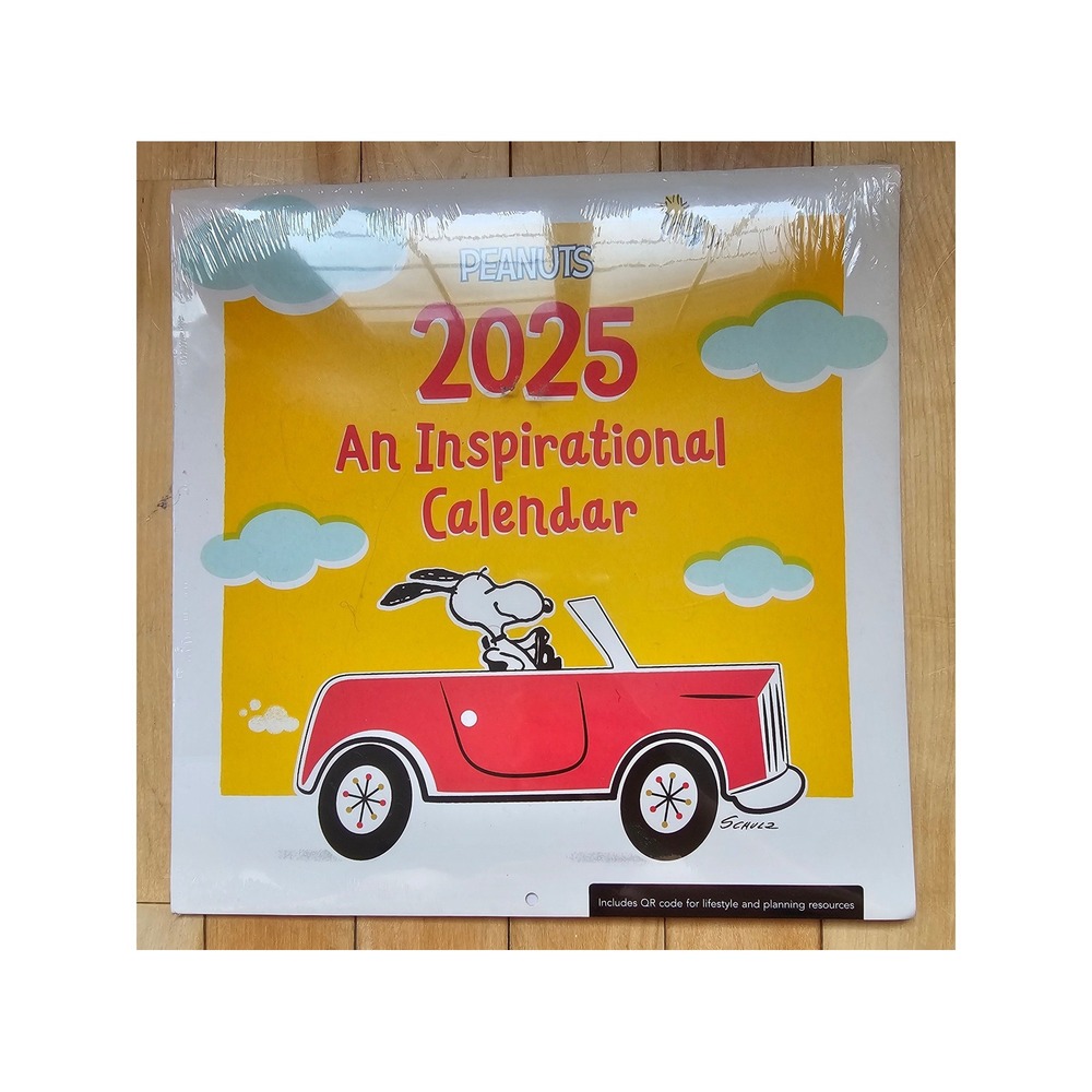 Peanuts 2025 Inspirational Wall Calendar Snoopy DaySpring U2035 New Sealed